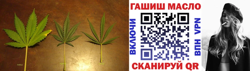 ТГК Wax  Купить где  Кызыл 