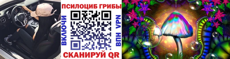 Псилоцибиновые грибы GOLDEN TEACHER  Купить где  Кызыл 